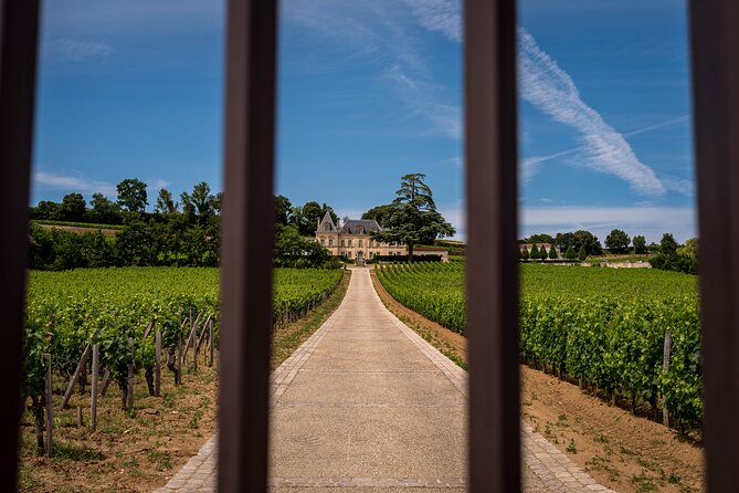 Saint Emilion Wine Tour by E-Bike- Bordeaux Pick up and drop off - What the château visits add to the day