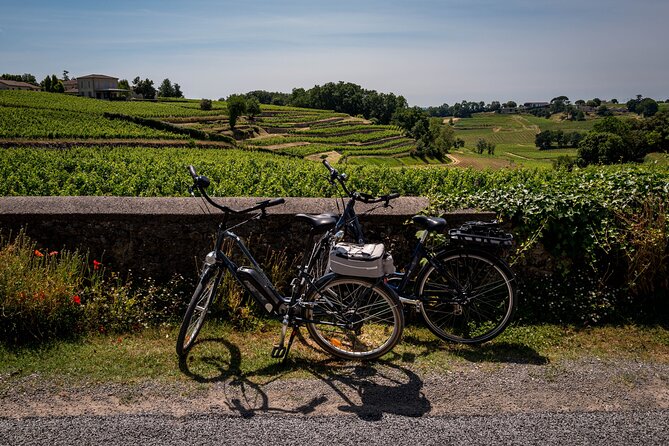 Saint Emilion Wine Tour by E-Bike- Bordeaux Pick up and drop off - Pedaling through the Saint-Émilion vineyards
