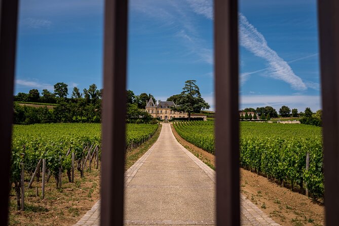Saint-Émilion Wine Tour By Premium Electric Bike, Lunch Included - A château garden lunch at 12:30