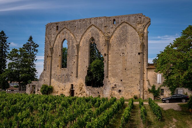 Saint-Émilion Wine Tour By Premium Electric Bike, Lunch Included - What the $201 price really covers