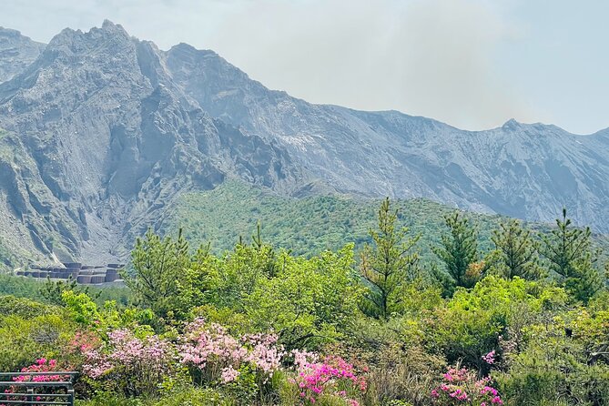 Sakurajima Century Lava Climb Journey with E-bike - The first ride and the volcanic story