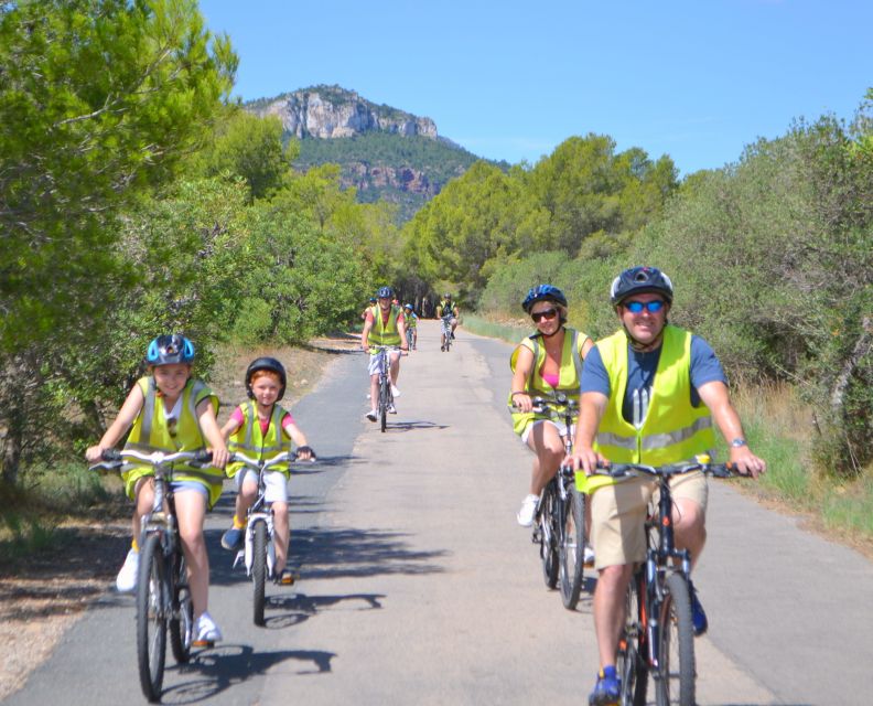 Salou: Easy Bike Tour with Wine Tasting - Mountain roads and vineyard views