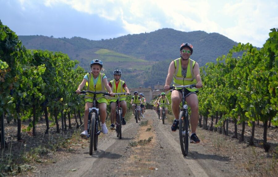 Salou: Easy Bike Tour with Wine Tasting - Who should book this bike and wine tour?
