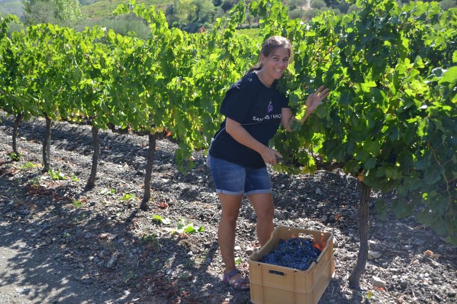 Salou: Easy Bike Tour with Wine Tasting - Practical value at $60