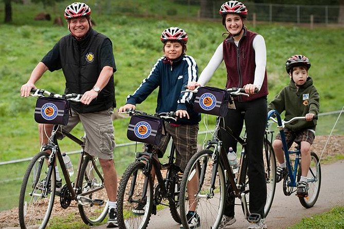 San Francisco Golden Gate To Sausalito Bike Tour - Standard bike or electric bike?