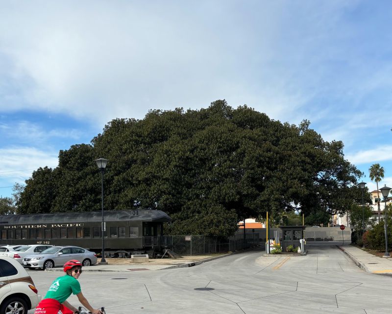 Santa Barbara: Guided Tour on electric bikes (private) - Who should book this electric bike tour?
