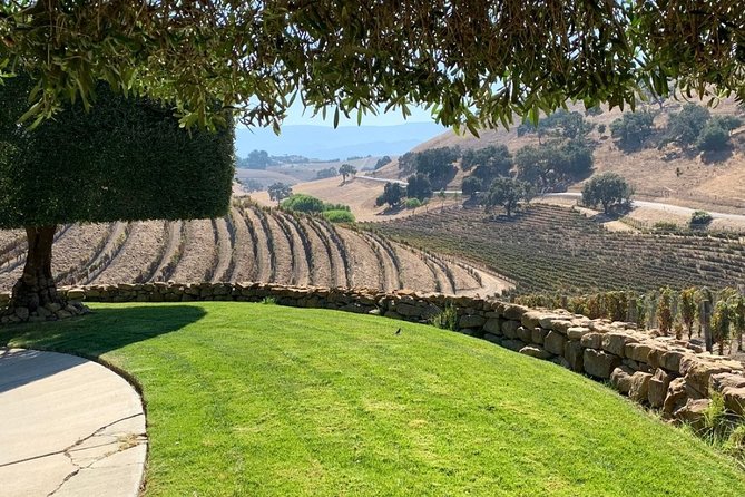 Santa Barbara Vineyard to Table Taste Tour by E-Bike - Rideau Vineyard and the first wine tasting