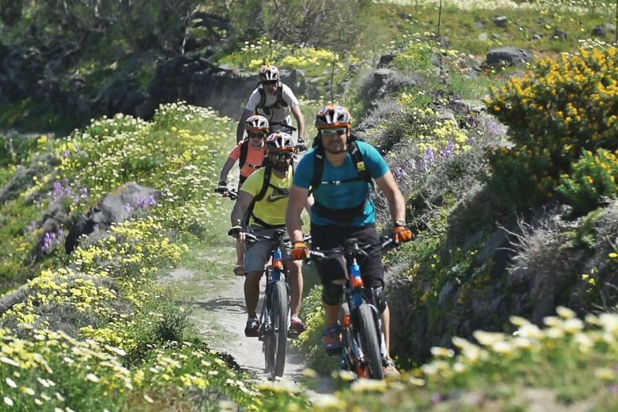 Santorini: Electric Mountain Bike Adventure - Megalochori, Wine Roads, and Feggera