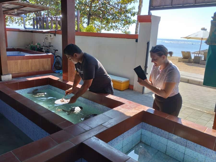 Sanur Village E-bike Tour: Family-Friendly Adventure - Who will enjoy this tour most
