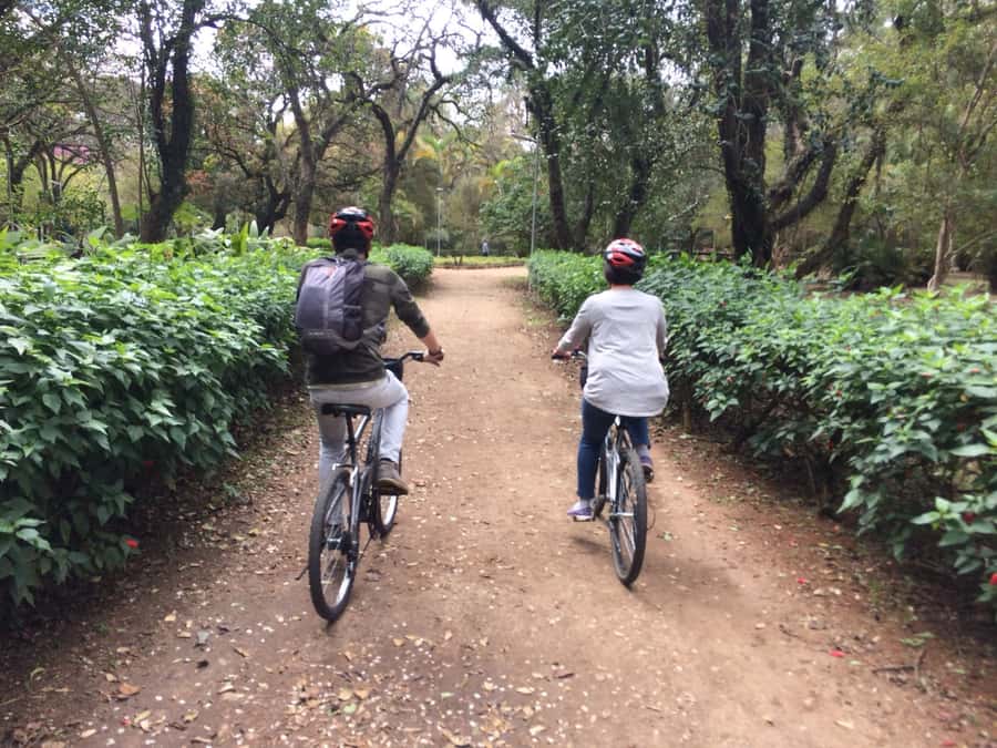 São Paulo: Street Art Bike Tour - Ibirapuera Park brings the ride to a calmer finish
