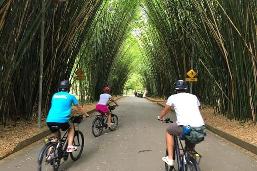 Sao Paulo: The Coolest Urban Scenes Bike Tour - Key things to know before you ride