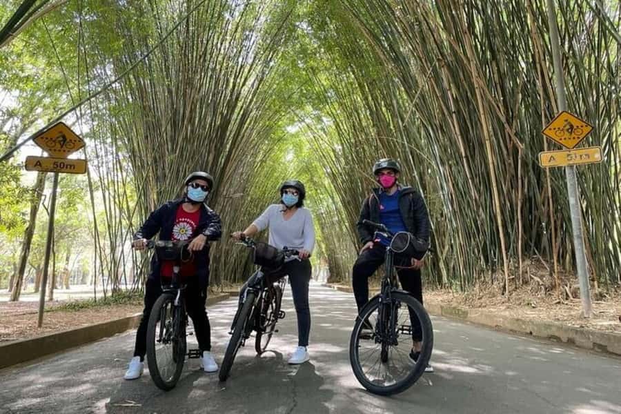 Sao Paulo: The Coolest Urban Scenes Bike Tour - Pinheiros connects art, food, and city life