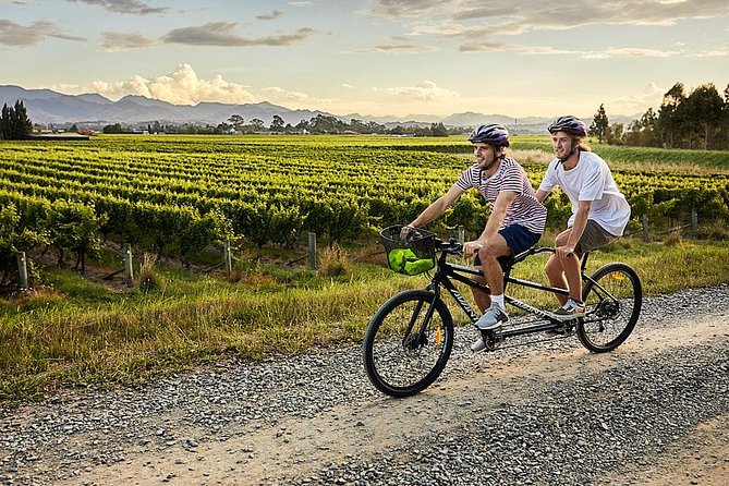 Self-Guided Biking Wine Tour (full day) in the Marlborough Region. - What the six-and-a-half-hour day feels like