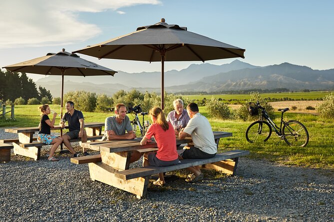 Self-Guided Biking Wine Tour (full day) in the Marlborough Region. - The price and what you get for it