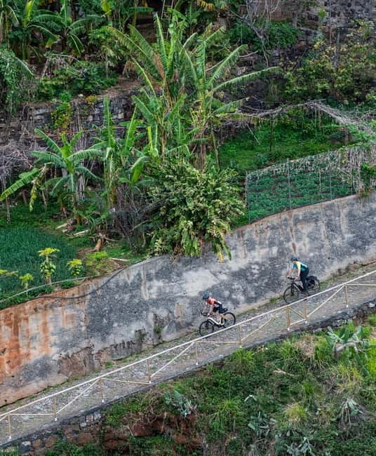 Self-Guided Road E-Bike Tour Ponta São Lourenço to Funchal - Why the e-bike makes sense here