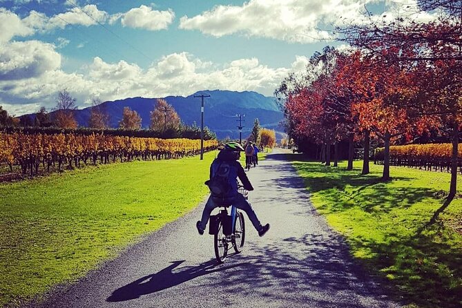Self-Guided Wine Tours by Bike with Lorelle & Greg - Longer rides to Allan Scott, Hans Herzog, and Cloudy Bay