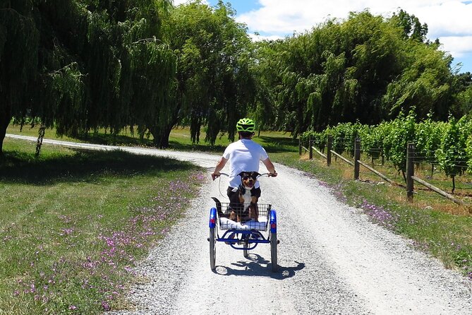 Self-Guided Wine Tours by Bike with Lorelle & Greg - Your arrival at the Renwick base