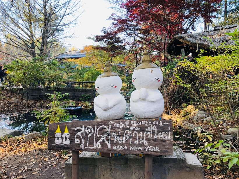 Seoul: Alpaca, Nami, Morning Calm or Eobi (+Rail Bike) - Transport, guides, and the pace of the day