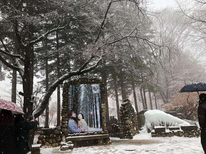 Seoul: Alpaca, Nami, Morning Calm or Eobi (+Rail Bike) - Who should book this Gangwon day trip?