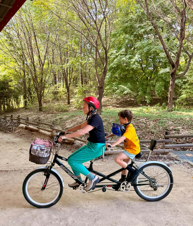 Seoul: Urban Nature Bike Tour along Han River - Why this bike tour works in Seoul
