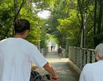 Urban Nature Bike Tour along Han River