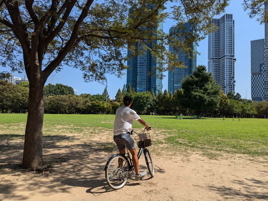 Seoul: Urban Nature Bike Tour along Han River - A local market and the optional Han River picnic