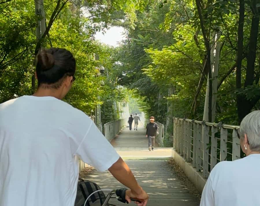 Seoul: Urban Nature Bike Tour along Han River - Starting at Ttukseom Han River Park