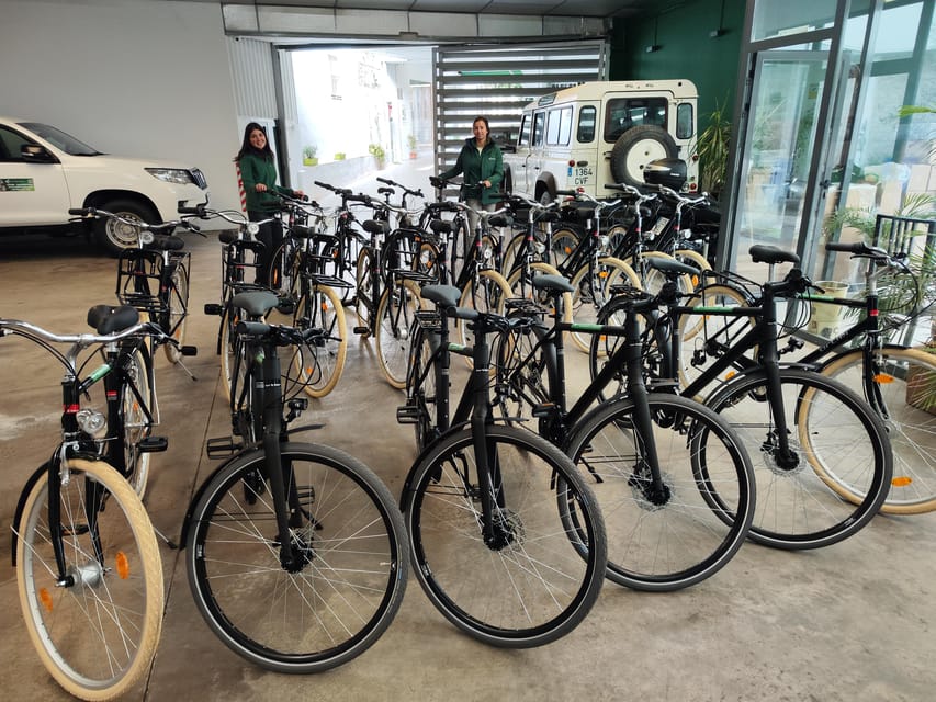 Seville: Bike Rental - Why Seville works so well by bicycle