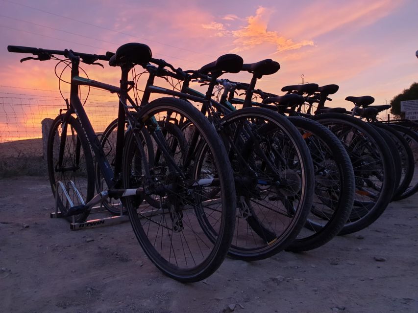 Seville: Bike Rental - Who will enjoy this rental most