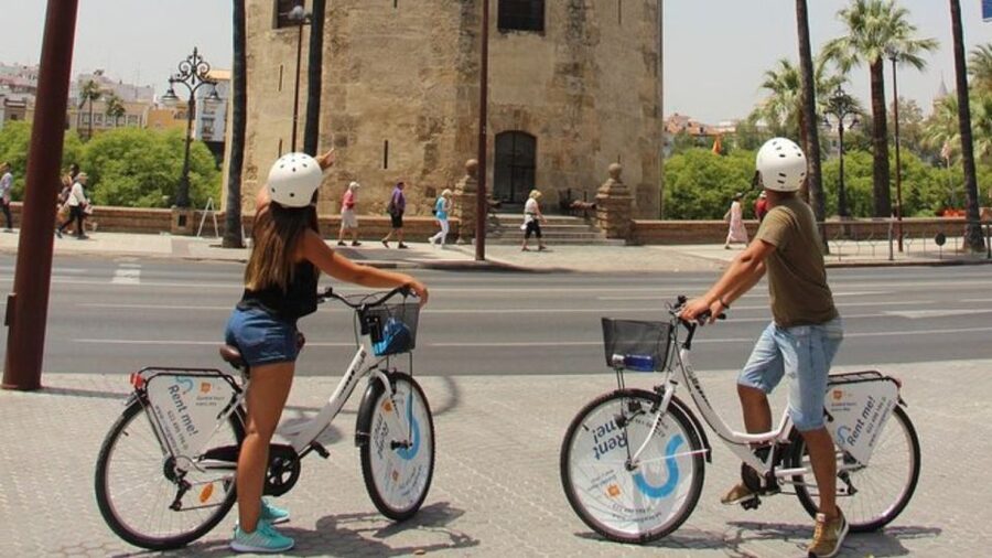 Seville City Bike Tour: Top Seville's Monuments - Gardens, the Tobacco Factory, and Seville’s University