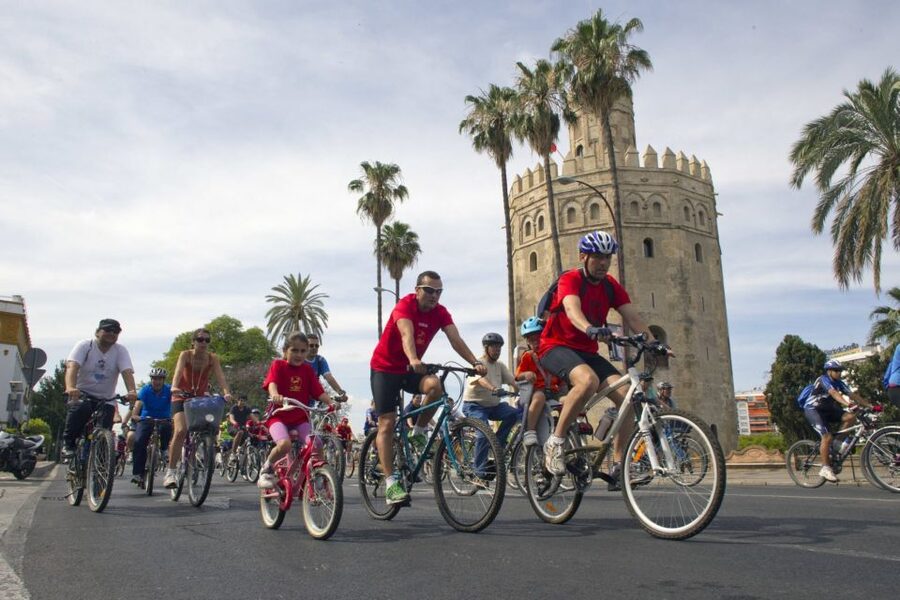 Seville City Bike Tour: Top Seville's Monuments - Along the River to Torre del Oro