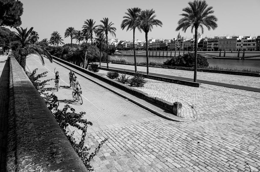 Seville: City Sightseeing and Local Culture Bike Tour - Is $31 good value?