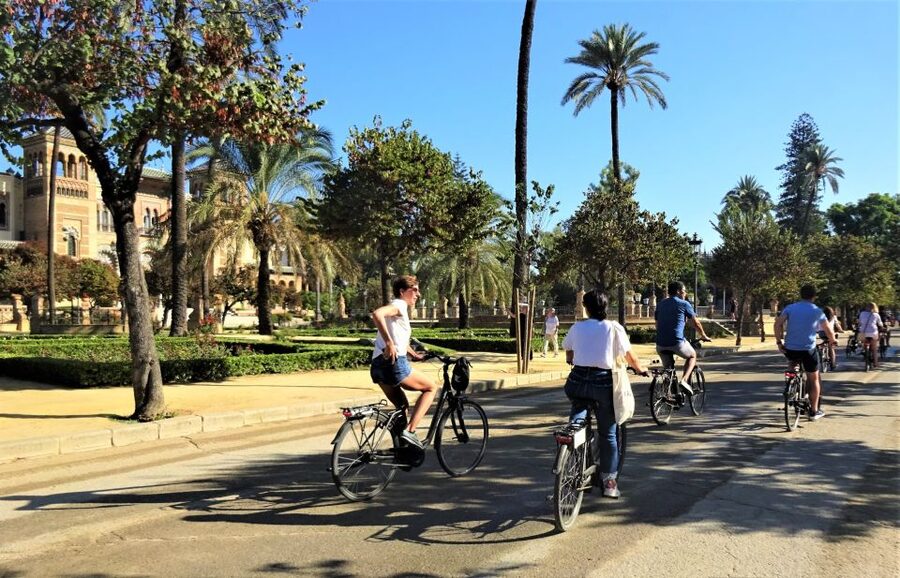 Seville: Electric Bike Tour in Small Group - Through central Seville with time for questions