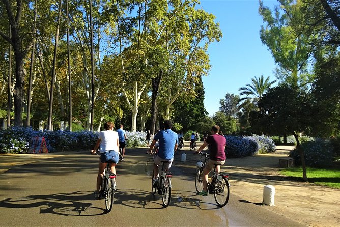 Seville Electric Bike Tour - Small Group - The old tobacco factory and Seville’s civic center