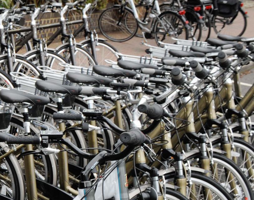 Seville: Guided Tour by Electric Bike - Why Three Hours Works So Well in Seville