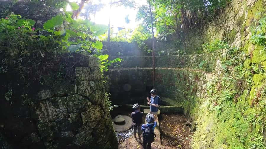 Shuri+Naha: Cycling Tour Explore Water Heritage with E-Bike - A Taste of Ryukyu Royal Court Tradition