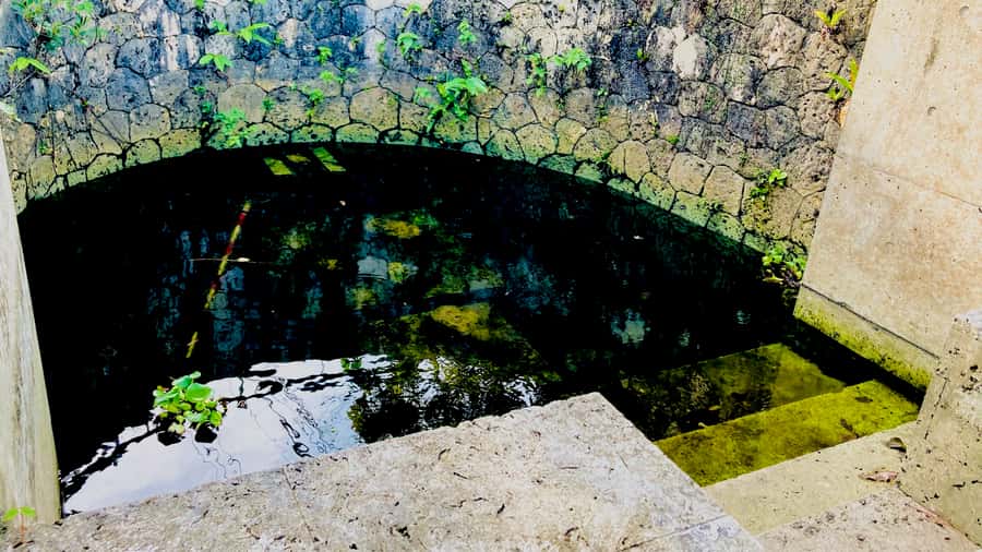 Shuri+Naha: Cycling Tour Explore Water Heritage with E-Bike - Guides, Safety, and Group Feel