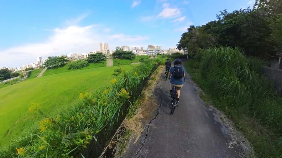 Shuri+Naha: Cycling Tour Explore Water Heritage with E-Bike - Is $87 a Good Value?