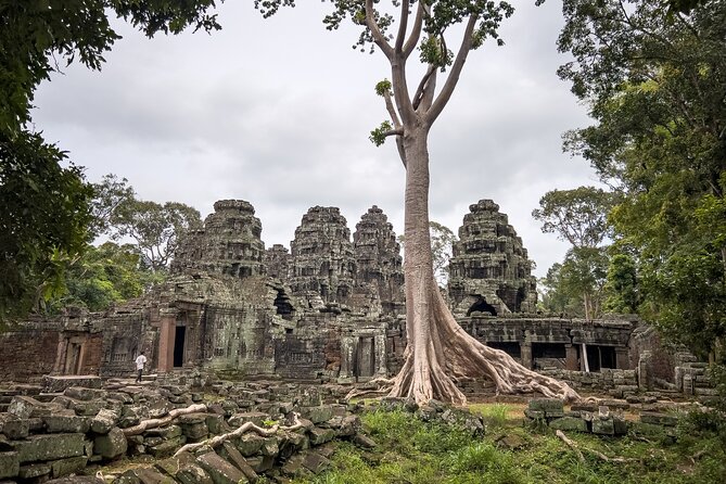 Siem Reap: Angkor Wat Sunrise Bike Tour & Jungle Breakfast - Why the bicycle is a smart way to see Angkor