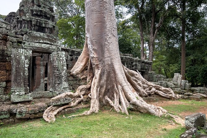 Siem Reap: Angkor Wat Sunrise Bike Tour & Jungle Breakfast - Bayon and the ride through quieter paths