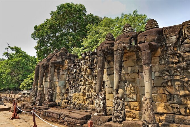 Siem Reap: Angkor Wat Sunrise Bike Tour & Jungle Breakfast - Ta Prohm brings the strongest visual contrast