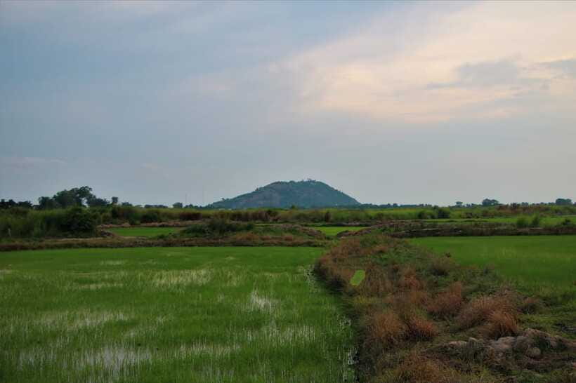 Siem Reap: Countryside Cycle and Local Village Life Tour - A lotus field at sunset