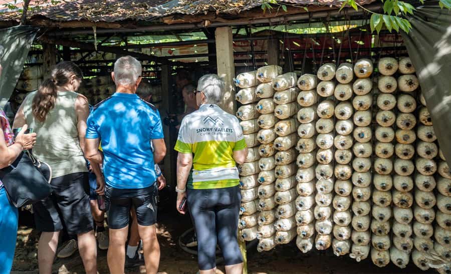 Siem Reap: Guided Countryside Bike Tour - Lotus farms and the changing timetable