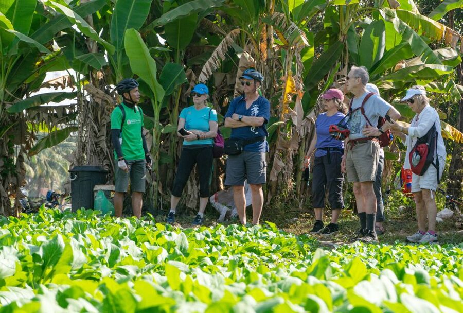 Siem Reap: Guided Countryside Bike Tour - Guides, traffic, and support