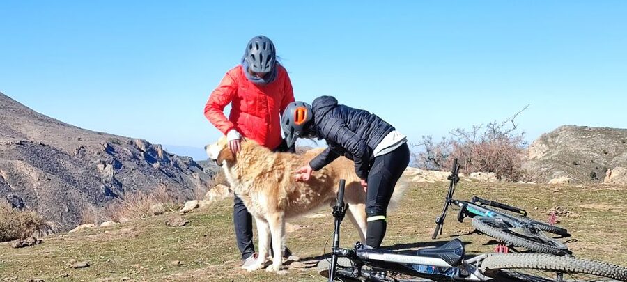 Sierra Nevada Small Group E-Bike Tour - Who should book this tour?