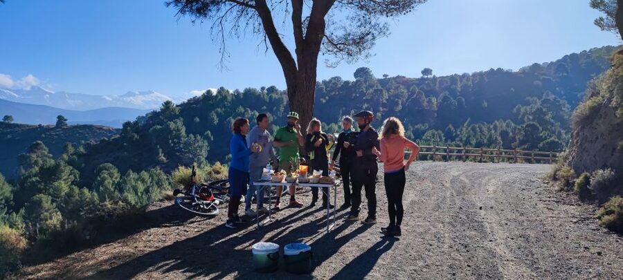 Sierra Nevada Small Group E-Bike Tour - A real ride, not just a scenic transfer