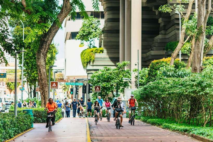 Singapore: Lion City Highlights Bike Tour - Little India and the one part that needs extra care
