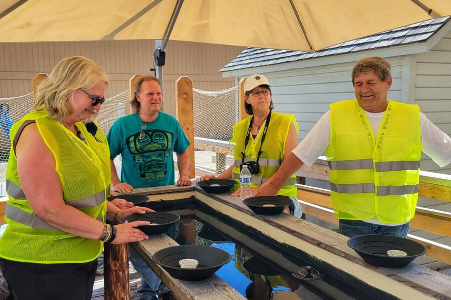 Skagway: City Highlights E-bike Tour with Gold Panning - Key points to know before you book