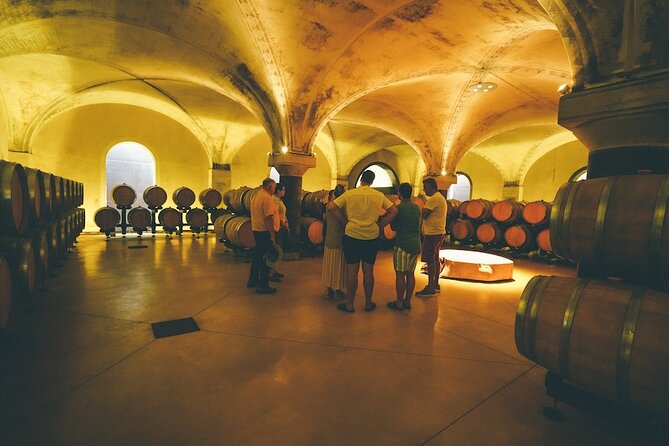 Small-group Amarone Wine e-Bike Tour from Verona - What the electric bike changes