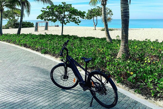 Small Group E-Bike Grand Cayman Ecological Half-Day Tour - West Bay Dock, Heritage Kitchen, and the Kittiwake site